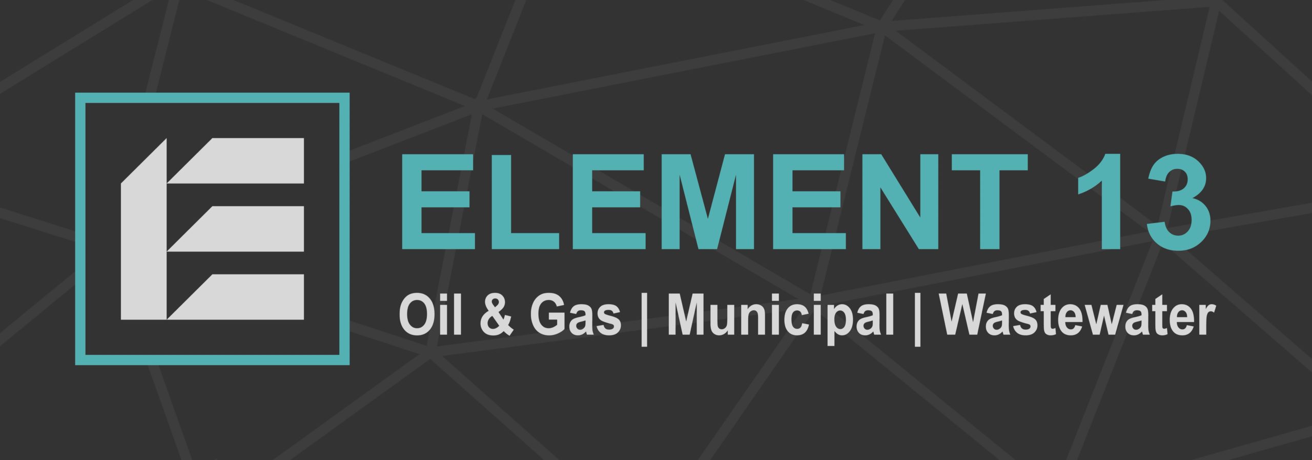 Element 13 Logo