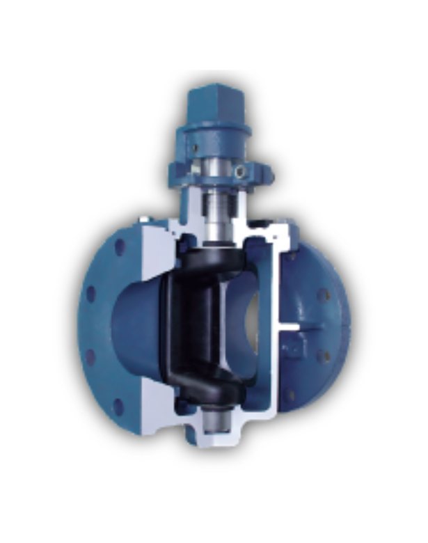 Cam-Centric® Plug Valve