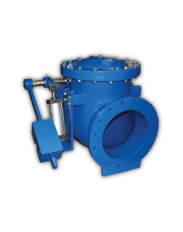 Swing Check Valve